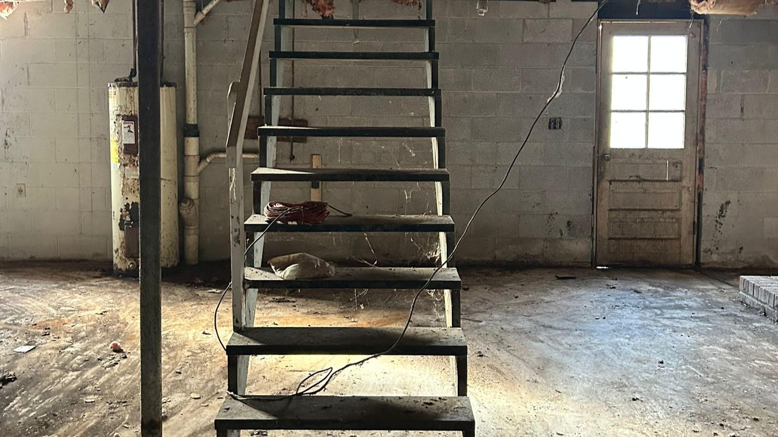 Basement Transformation image 5