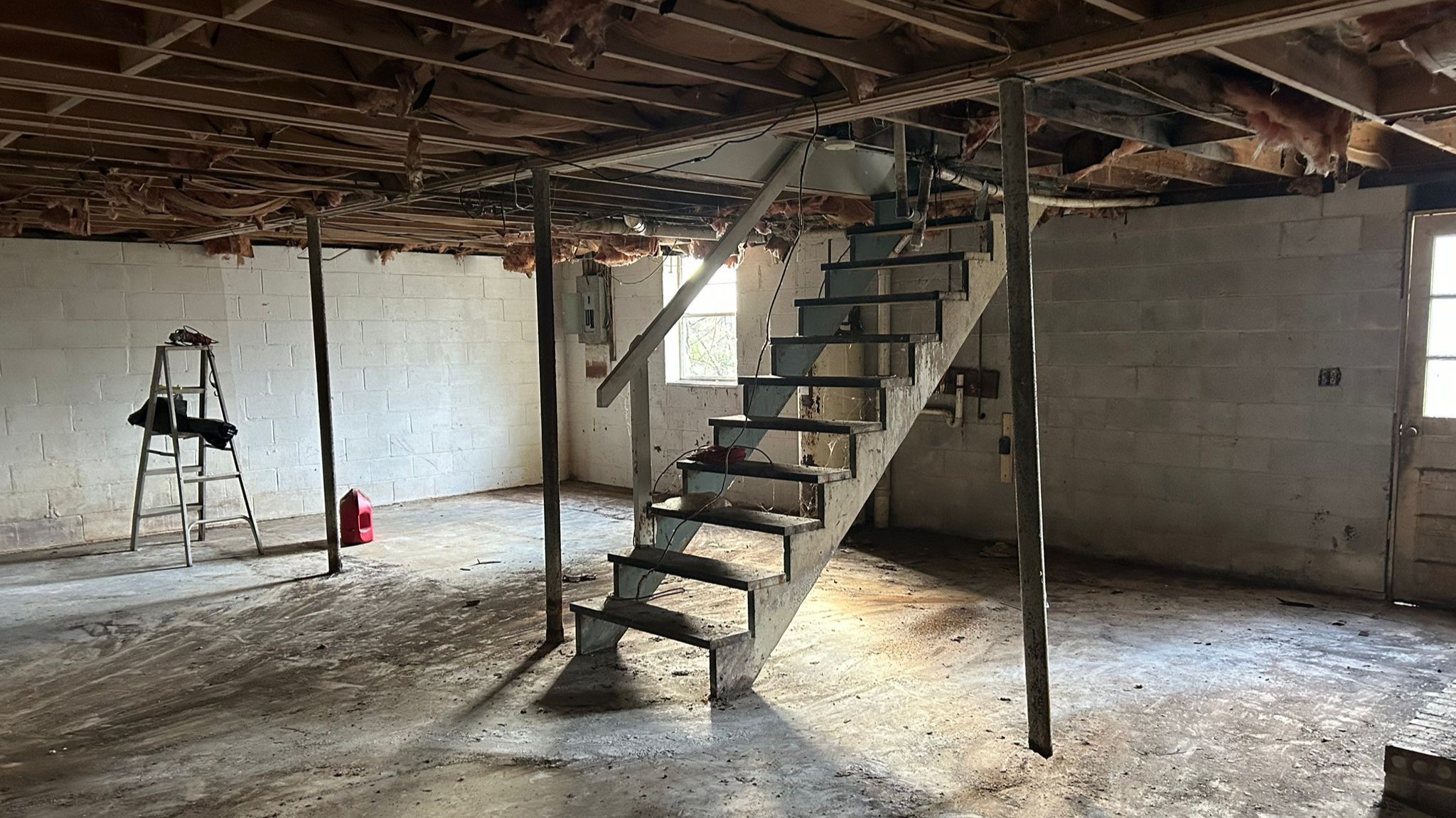 Basement Transformation image 6